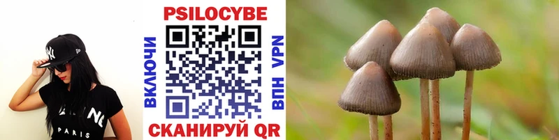продажа наркотиков  Уфа  Псилоцибиновые грибы прущие грибы 